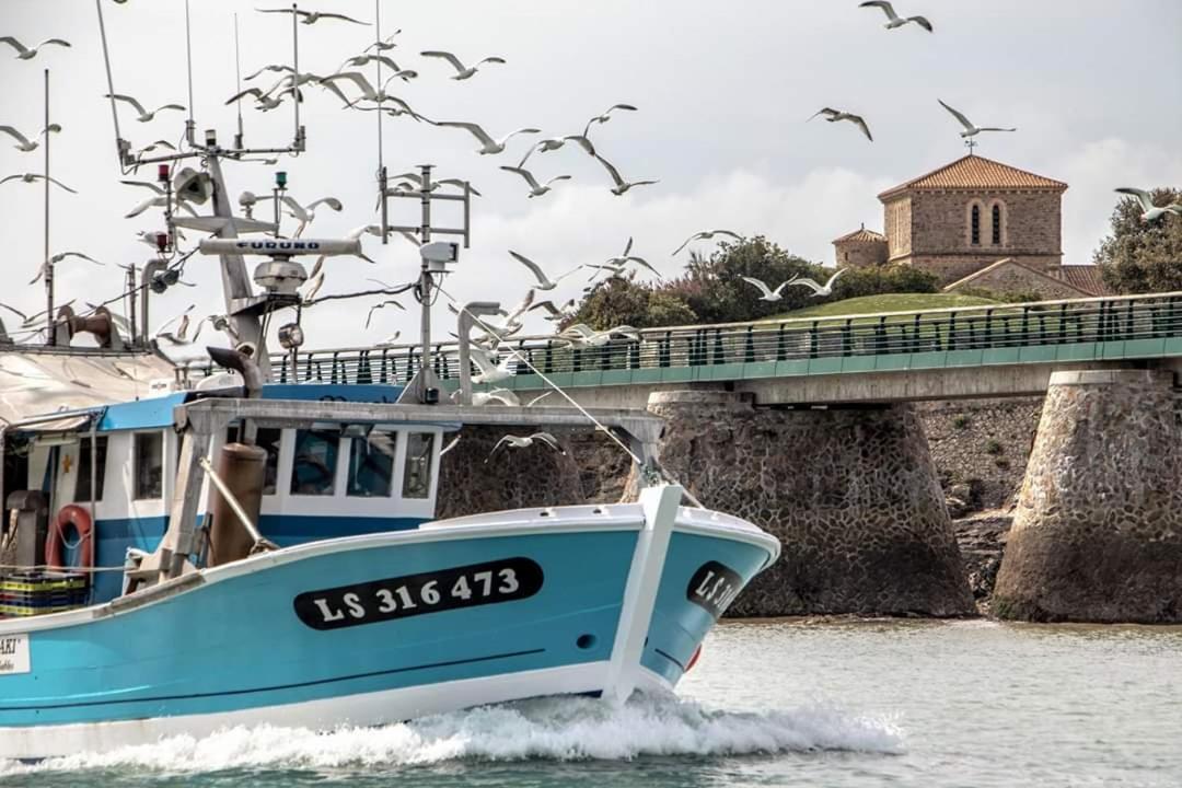 Petite Maison Les Sables D'Olonne Eksteriør billede